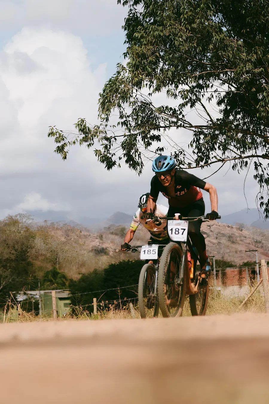 Mountain bike