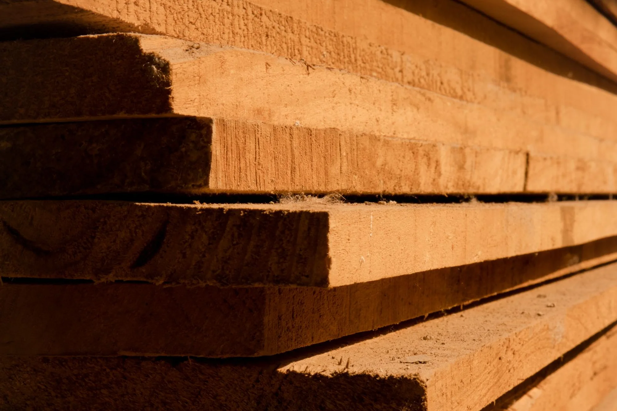 Stacks of seasoned wood ready to work in the workshop