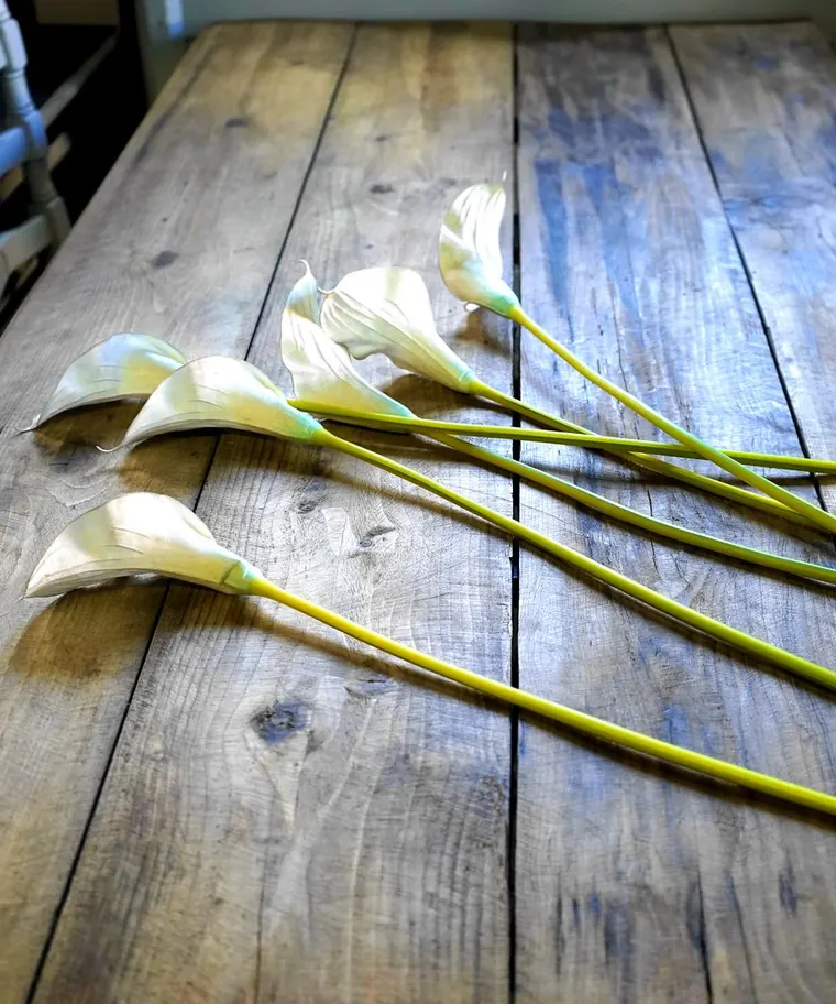 A funeral services website with a prominent 24-hour contact, clear services and space for online obituaries