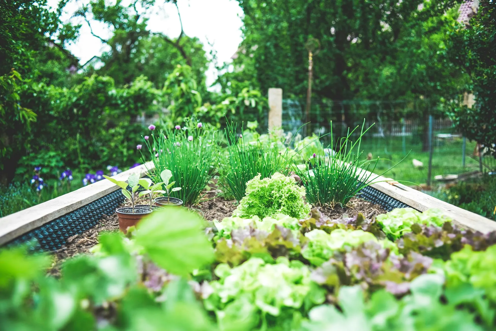 Automatic irrigation system