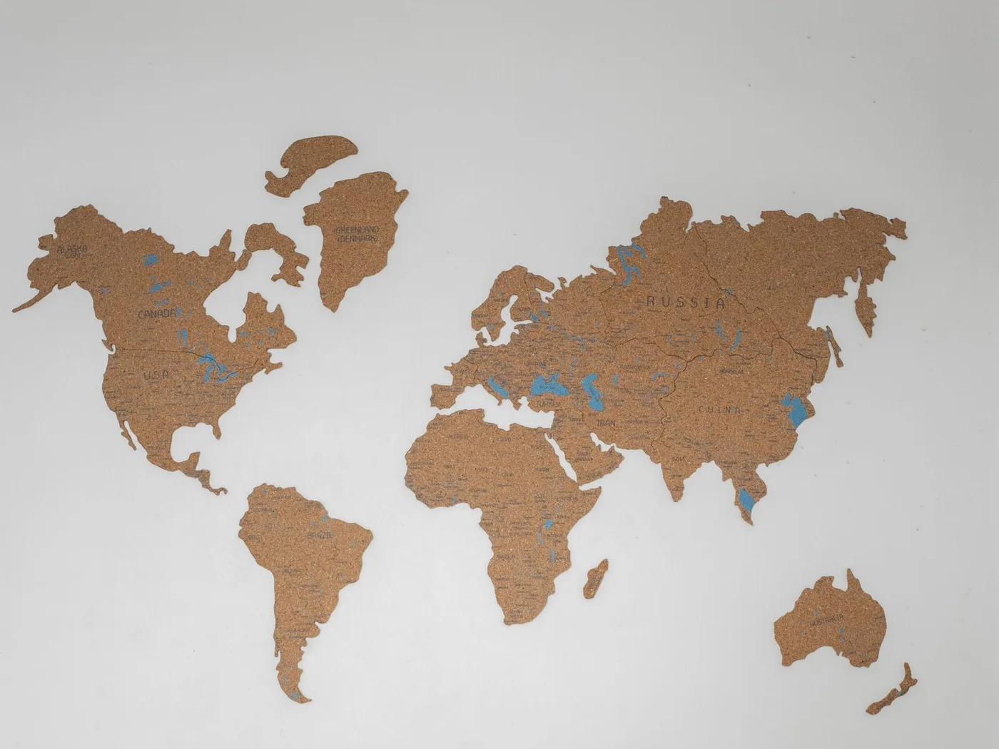 The globe in the travel agency