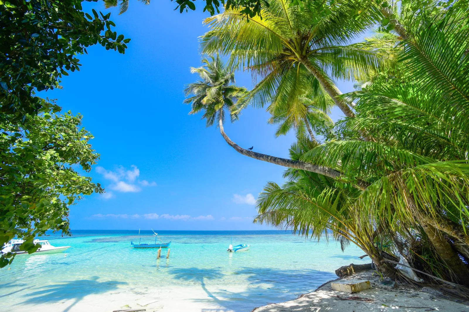 French Polynesia