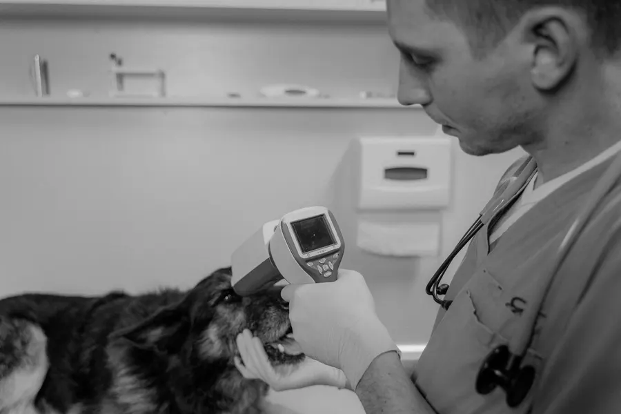 Internal medicine