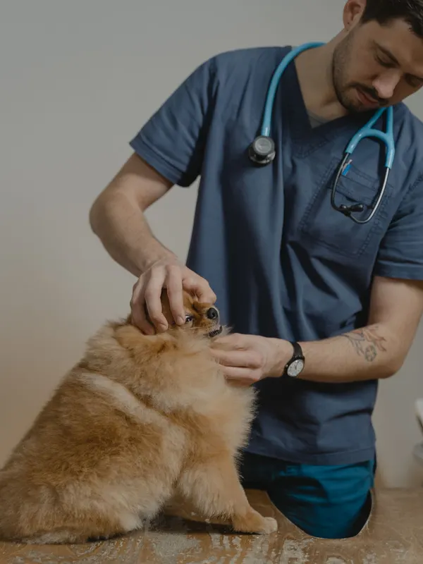 Dr. Marco R.